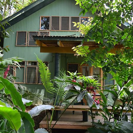 Rainforest Eco Lodge Suva Ngoại thất bức ảnh