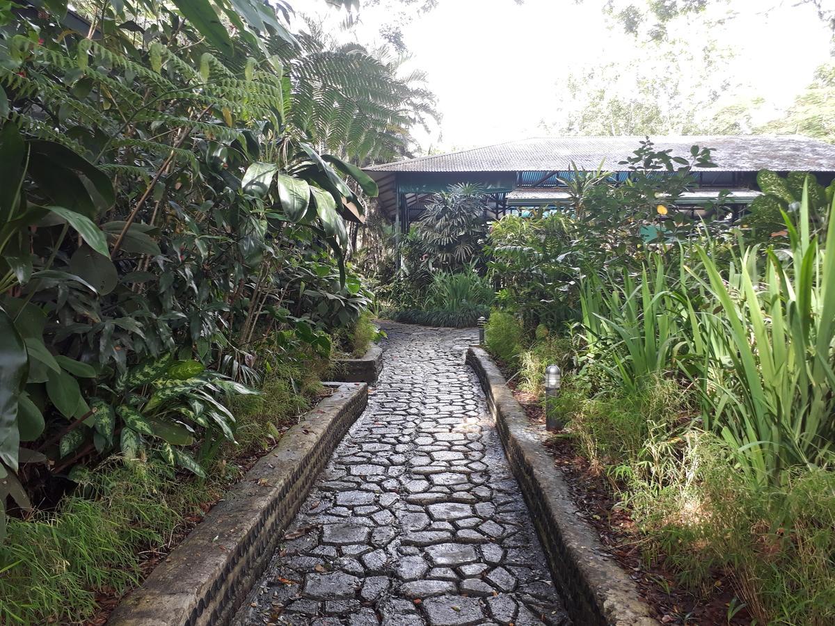 Rainforest Eco Lodge Suva Ngoại thất bức ảnh