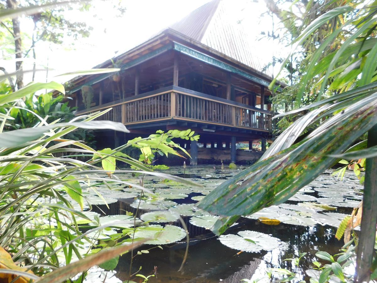 Rainforest Eco Lodge Suva Ngoại thất bức ảnh