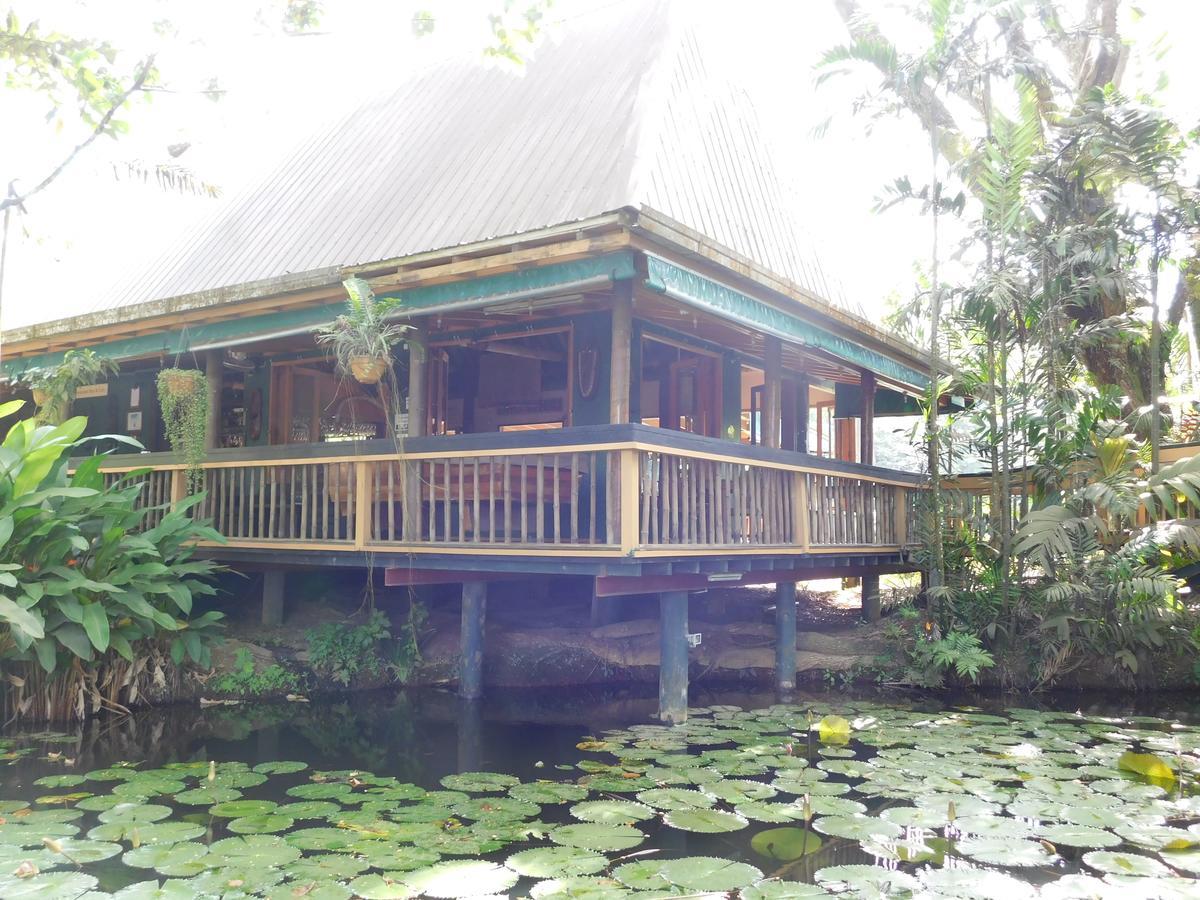 Rainforest Eco Lodge Suva Ngoại thất bức ảnh