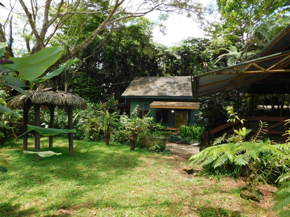 Rainforest Eco Lodge Suva Ngoại thất bức ảnh