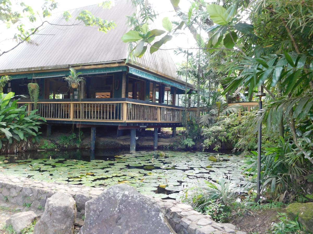 Rainforest Eco Lodge Suva Ngoại thất bức ảnh