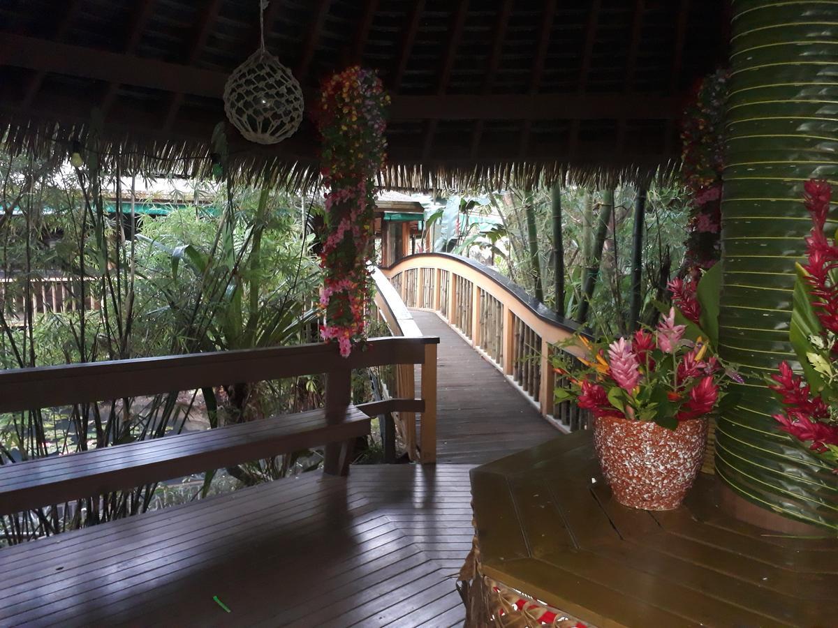 Rainforest Eco Lodge Suva Ngoại thất bức ảnh