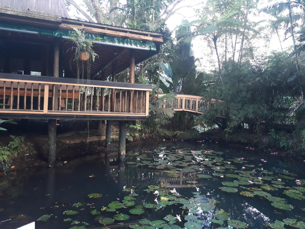 Rainforest Eco Lodge Suva Ngoại thất bức ảnh