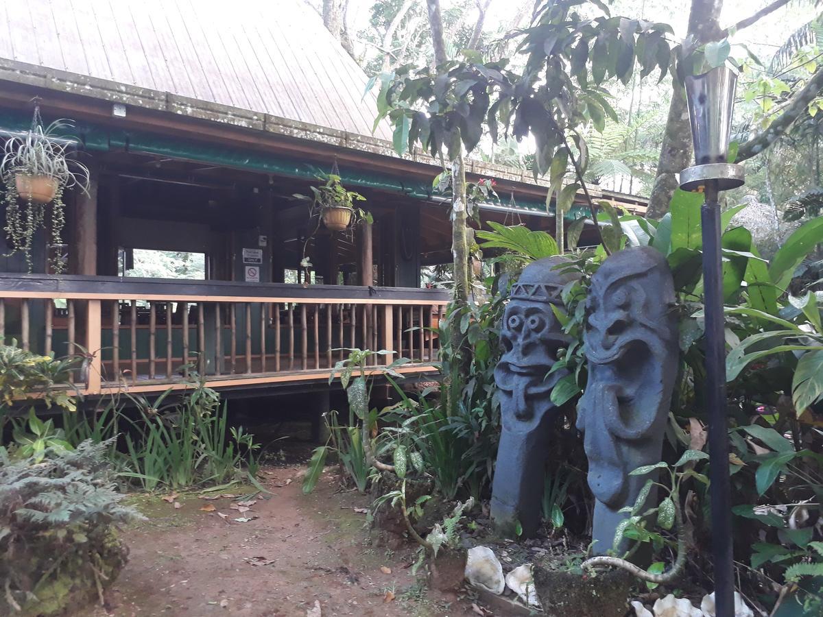 Rainforest Eco Lodge Suva Ngoại thất bức ảnh