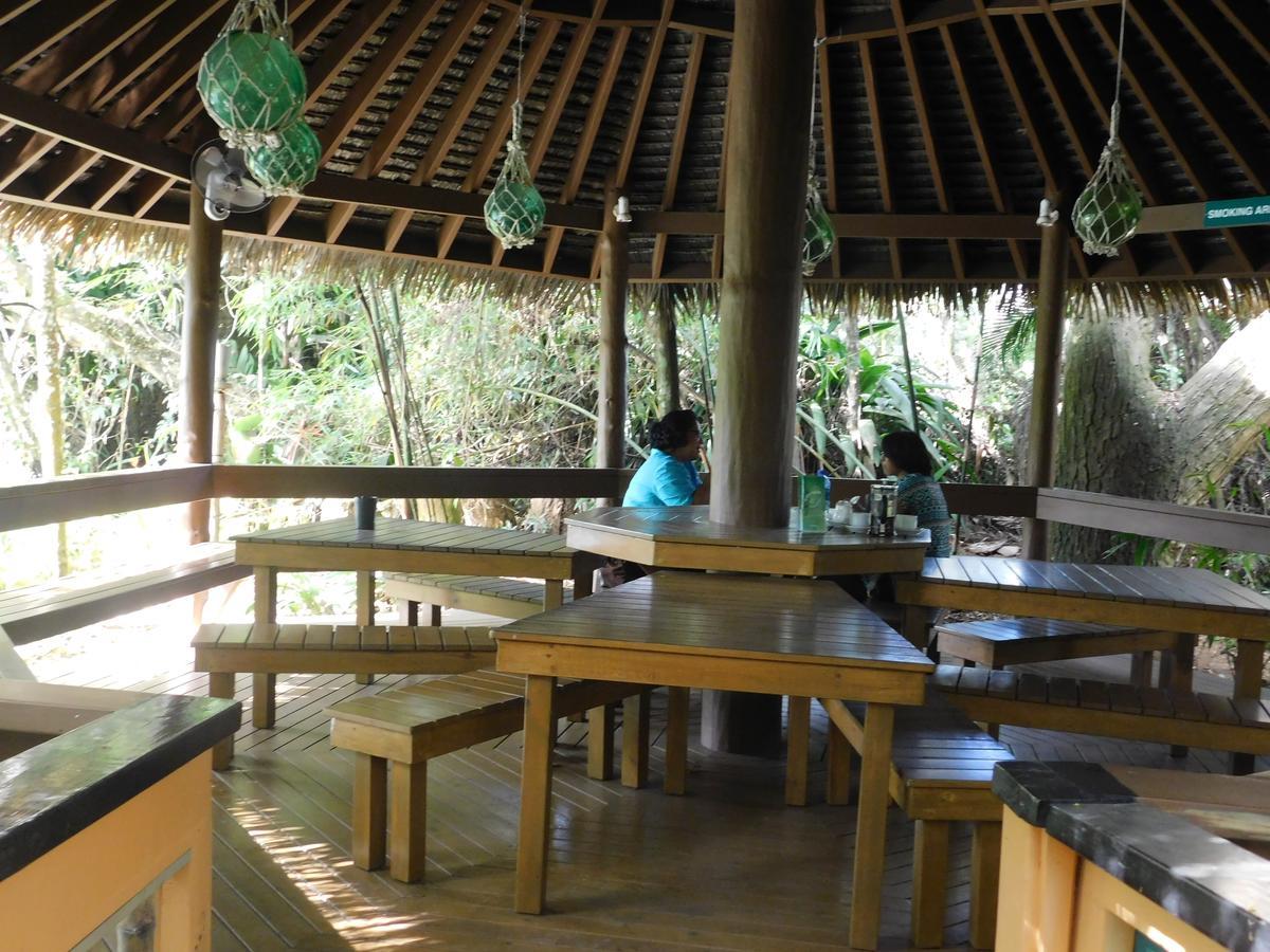 Rainforest Eco Lodge Suva Ngoại thất bức ảnh