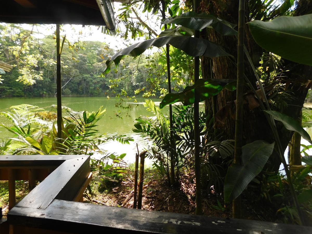 Rainforest Eco Lodge Suva Ngoại thất bức ảnh