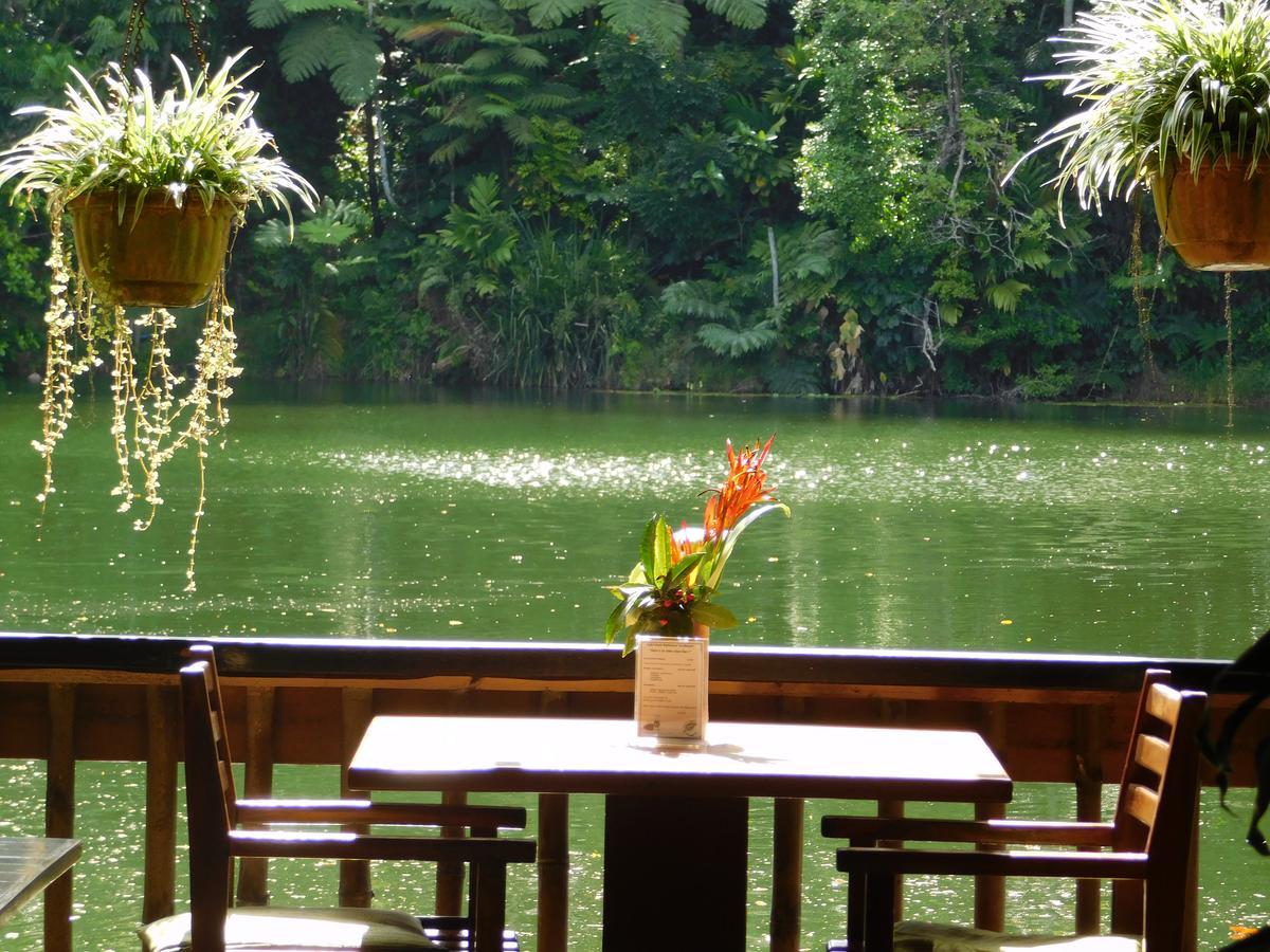 Rainforest Eco Lodge Suva Ngoại thất bức ảnh