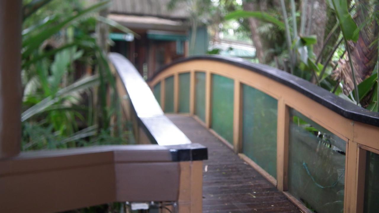 Rainforest Eco Lodge Suva Ngoại thất bức ảnh