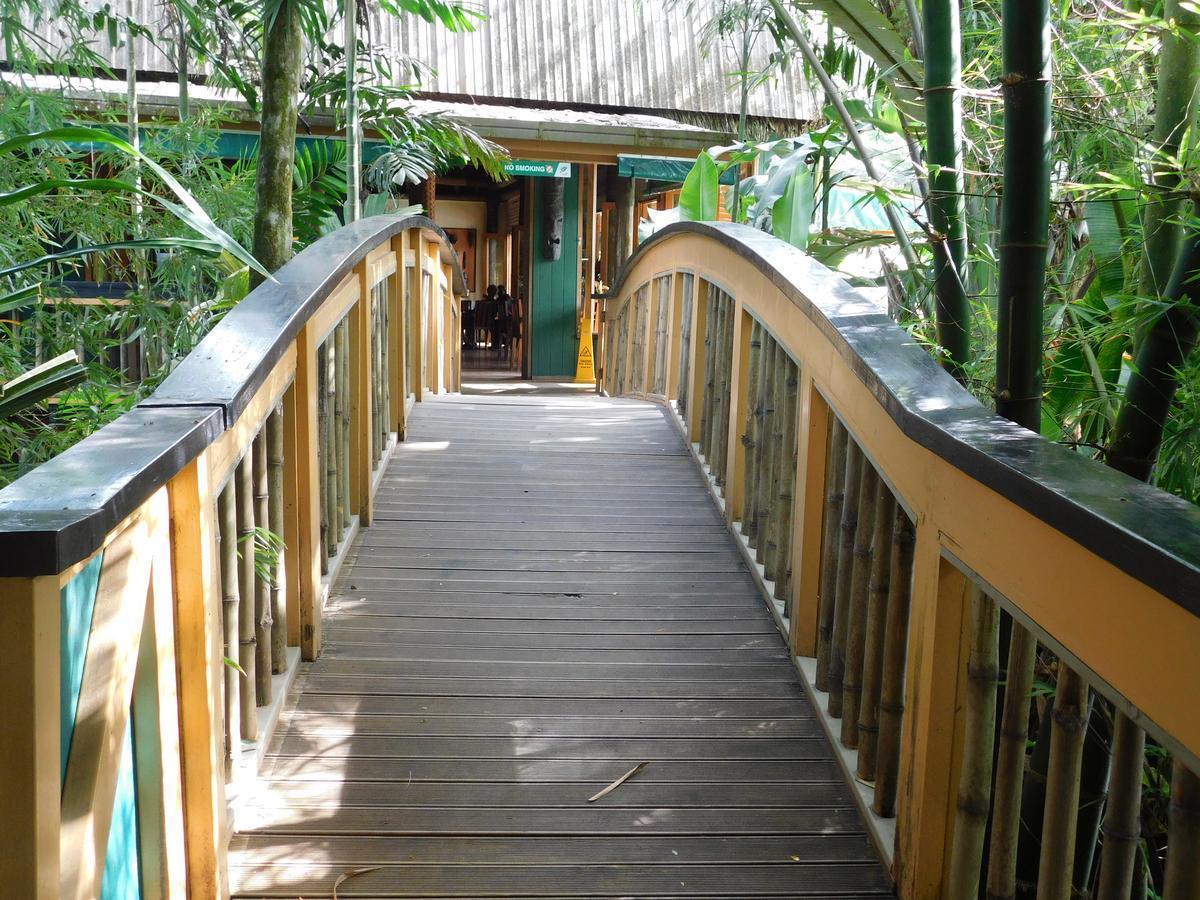 Rainforest Eco Lodge Suva Ngoại thất bức ảnh